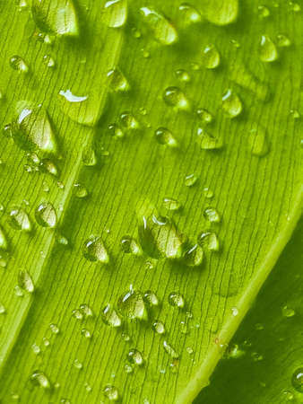 Closeup of cactus in potの写真素材
