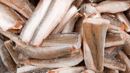 Frozen hake fish close-up. Lots of fish on the counter.の写真素材