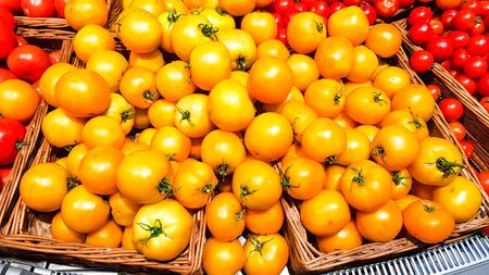 Yellow tomatoes in a box on a shelf in a supermarket. Yellow and red tomatoes with tails in a plastic container top view.の写真素材