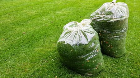 fresh grass clippings in garbage bag on green grass.の写真素材