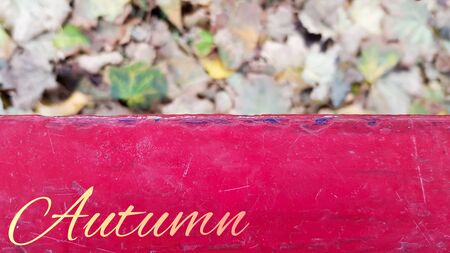 Red, green, yellow maple leaves. Indian summer. Falling leaves. Walk in the city park. Blurred focus. Park autumn concept, autumn background with copy space on red wooden backgroundの写真素材