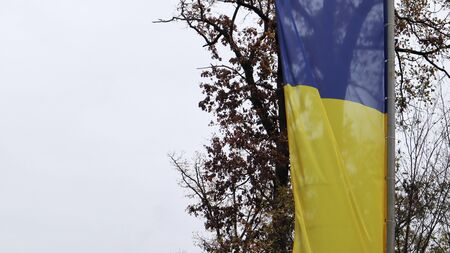 Ukrainian flag waving on the masts in a forest park. The wind blows and the flag flies in the air....