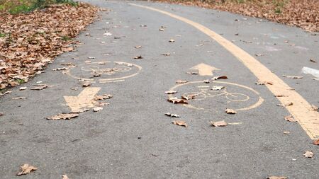 Bicycle lane on the side of a city road in the fall. Road marking in the form of two oncoming arrows...