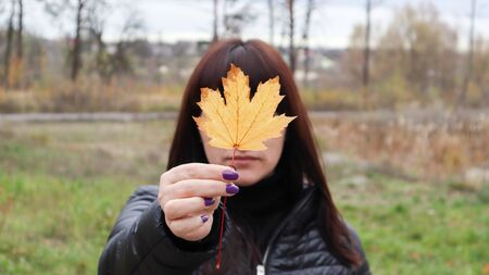 Girl holds a yellow maple leaf in front of her. A young woman covered her face with a yellow autumn maple leaf in a park. Lovely girl enjoying the warm weather. Autumn mood. Enjoy the seasonの写真素材