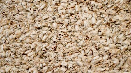 silk plaster texture or liquid wallpaper, abstract background. Stucco surface texture closeup