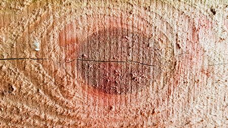 Light soft wood surface as background, wood texture. Close Up of a board with knots. Freshly cut tree trunk. Natural texture background made of sawn wood.の写真素材