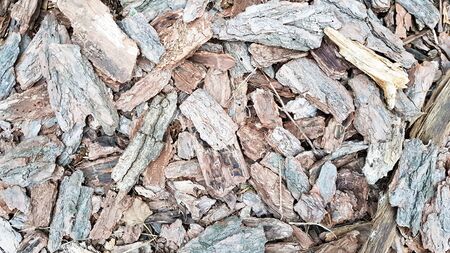 background texture decorative tree bark. Mountain of old cut tree bark close up. Earth ground covered with compost mulch fragment of tree bark fragments.の写真素材