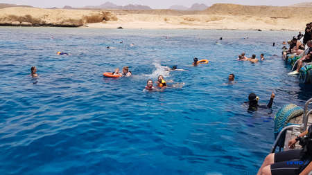 Egypt, Sharm El Sheikh - September 20, 2019: A group of tourists diving with a mask and snorkel are looking at the beautiful and colorful sea fish and coral reef in the Red Sea near the shipのeditorial素材