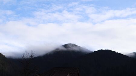 Autumn rain and fog on the mountain hills. Misty autumn forest covered with low clouds. Ukraine. Spruce forest trees on the hills of mountains sticking through the morning fog over autumn landscapesの写真素材