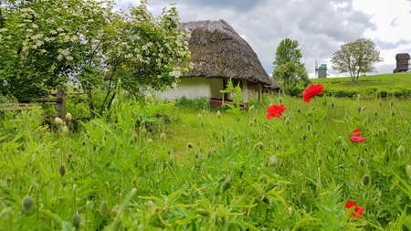 Ukraine, Kiev - June 11, 2020. The old house of peasants in the museum Pirogovo. National Museum of Folk Architecture and Everyday Life of Traditional Folklore Houses of Different Regions of Ukraine.のeditorial素材