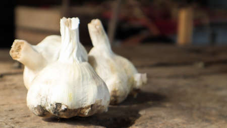 Three heads of Messidor garlic on a wooden background. This variety is high yielding, good quality,...