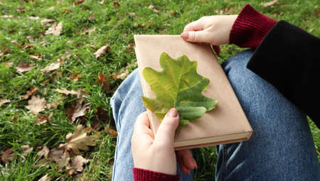 A woman holds a closed book lying in her lap with a fallen oak leaf close-up in a park on a sunny...