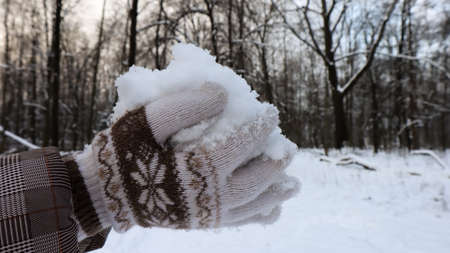 Women's hands in knitted mittens hold natural soft white snow outside on a winter day. Joyful winter time. Hand holds cold snow. Spending time in nature in winterの写真素材