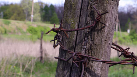 Old wooden fence with rusty barbed wire. A fence next to a rural road. Vintage look. A wooden post around the perimeter of the pasture fenceの写真素材