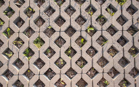 Background from paving slabs with grass sprouting through them. Stone tiles on the sidewalk. Footpath. Textured patterned background. Eco-friendly covering - concrete lawn gratingの写真素材