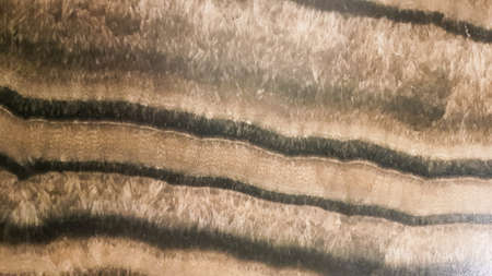 The surface of Sandstone with wavy brown veins. Sulfide agate texture. Wide image of brown natural stone texture Sphalerite. Beautiful wavy pattern of cut of Schalenblende stone close-up.の写真素材