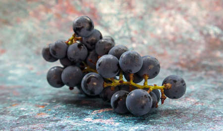 Collection of ripe grapes. Red wine grapes background. Freshly picked black, blue or red dark wine grapes. Healthy fruits. Bunches of grapes, ready to eat. Berries texture as background. Grape sortの写真素材