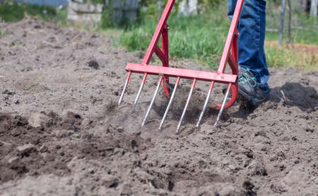A farmer in jeans digs the ground with a red fork-shaped shovel. A miracle shovel, a handy tool. manual cultivator. The cultivator is an efficient hand tool for tillage. Loosening the bedの写真素材