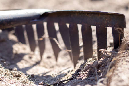 Close up photo of a garden rake on a bed. Old black metal rake on dry soil, in the garden. spring cleaning. selective focus. Yard area cleaningの写真素材