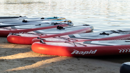 Empty SUP boards sway on the waves on a calm river or lake. water sports. Lots of boards at the...
