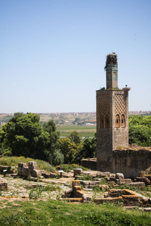 Stork nesting on ancient siteの写真素材