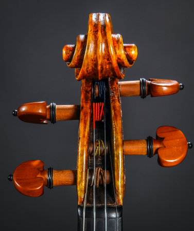 Historic Violin Neck with Strings Vintage very oldの写真素材