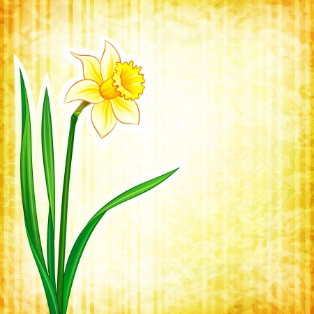  textured background with narcissusのイラスト素材