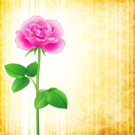textured background with rose. のイラスト素材