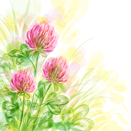 Flowers of clover - vector background.のイラスト素材