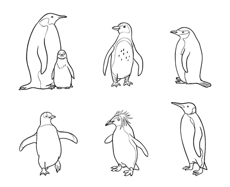 Set of different penguins in outlines. Vector illustration.のイラスト素材