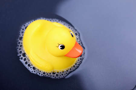 Rubber duck in the water.の写真素材