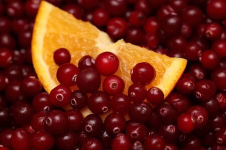 Orange slice in cranberries.の写真素材