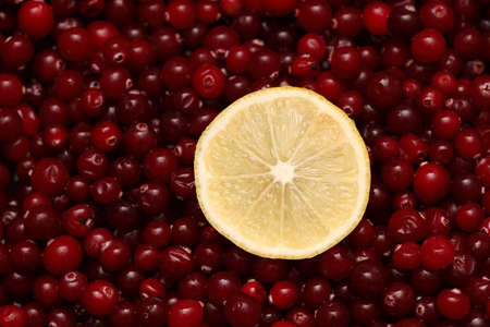 Lemon slice and cranberries.の写真素材