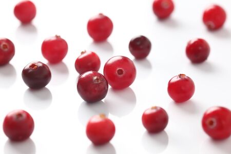 Cranberry on white background. Close-up.の写真素材