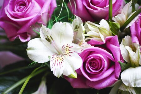 Beautiful bouquet with Roses and Alstroemerias. Close-up.の写真素材