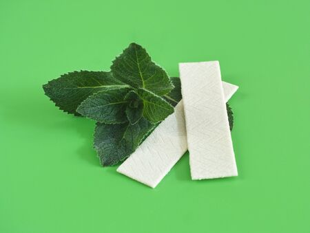 Chewing gyms and fresh mint on green background