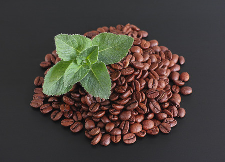 Coffee beans and fresh organic mint on black backgroundの写真素材