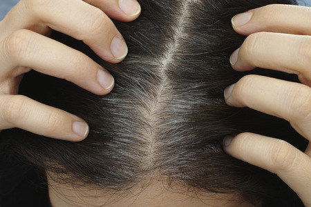 Going gray. Young woman shows her gray hair roots.の写真素材