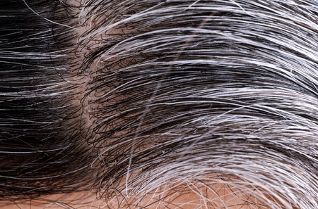 Going gray. Woman gray and black hair roots. Closeup.の写真素材