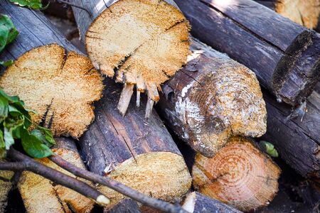 Pile of firewood logs. Close-up.