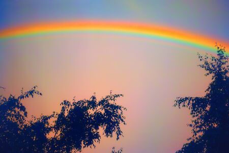 Rainbow over blue sky. Natural phenomenon.の写真素材