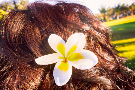Frangipani flower in woman hair.の写真素材