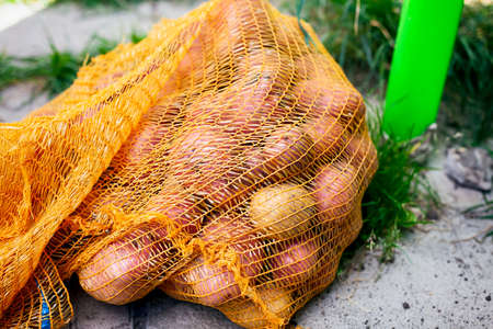 Orange bag with organic potatoes in it outdoors. Close-upの写真素材