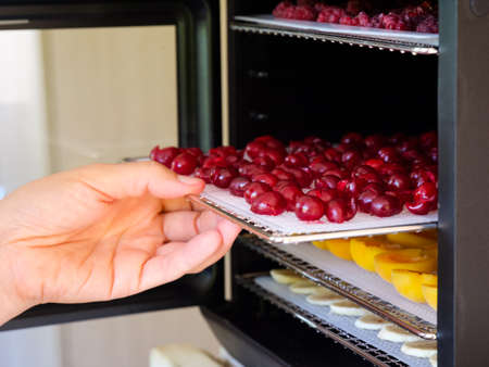 Woman putting a tray with cherries into a food dehydrator machine. Close-upの写真素材