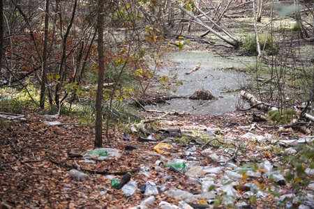 Swamp with a pile of trash near it in a forest