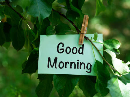 A green paper note with words Good Morning hanging on a tree branch. Close-up.