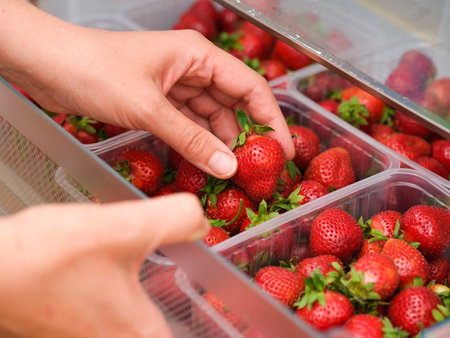 A woman hands taking an organic red strawberry out of a container in a fridgeの写真素材