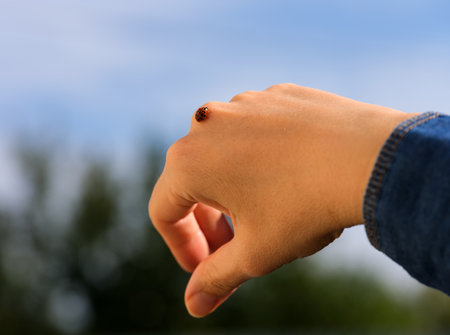 A woman hand with a ladybug crawling on it against blue sky backgroundの写真素材