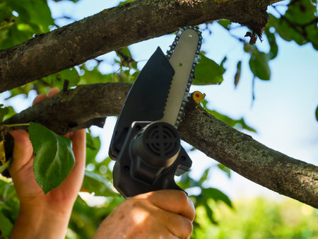 A person cutting a branch of a tree with a portable electric chain saw.