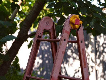A ladder standing near tree in the gardenの写真素材